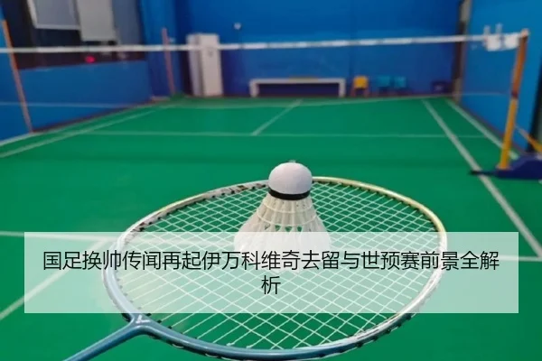 国足换帅传闻再起伊万科维奇去留与世预赛前景全解析